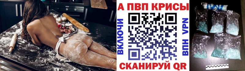 Купить  Губкин  A PVP крисы CK 