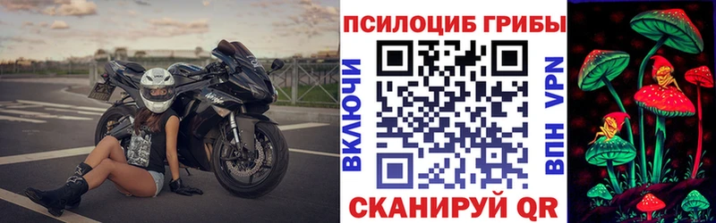 Галлюциногенные грибы Psilocybine cubensis  Купить  Губкин 
