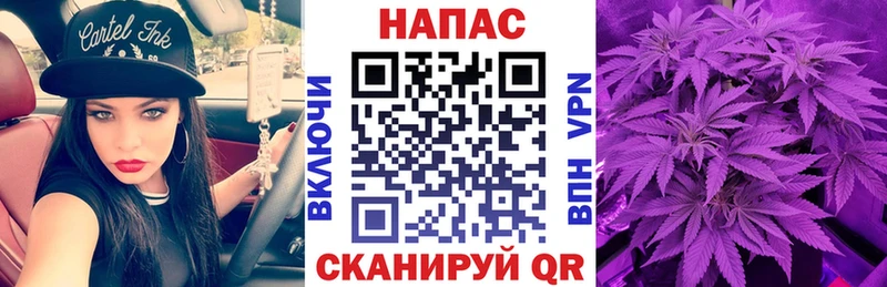 Каннабис индика  Купить  Губкин 